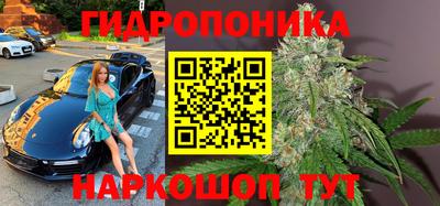 прущие грибы Ирбит