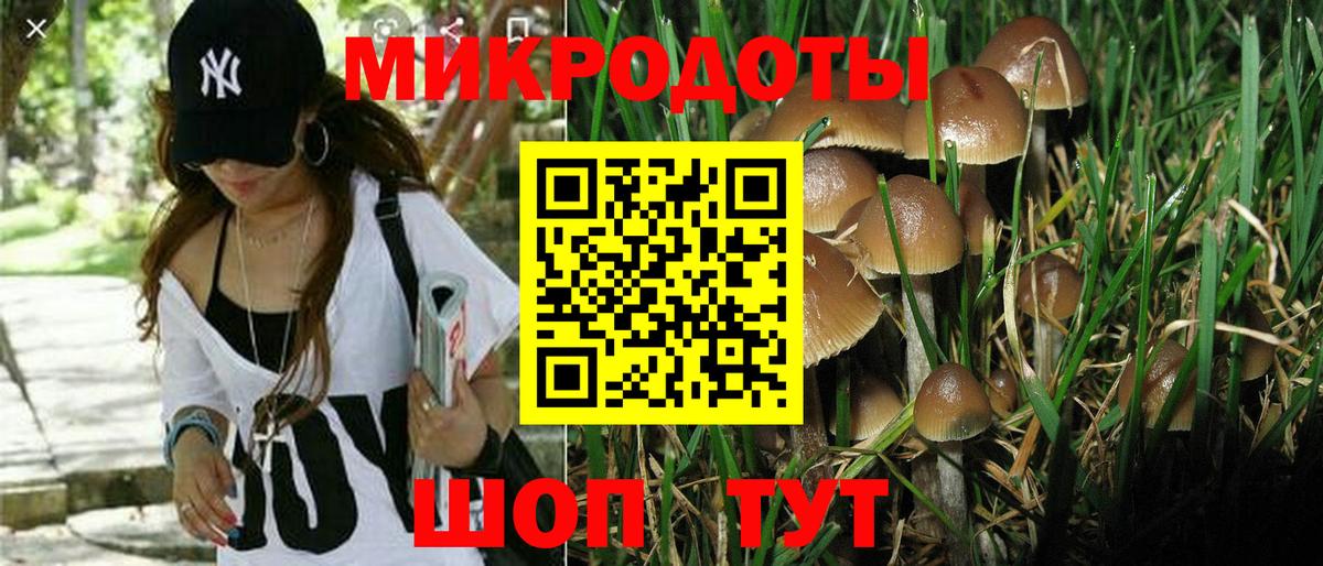 Псилоцибиновые грибы ЛСД  цены наркотик  Биробиджан  Псилоцибиновые грибы ЛСД  Вход с VPN 