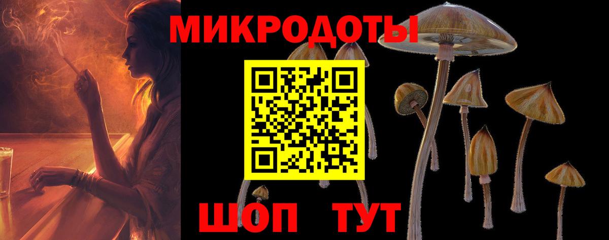 Псилоцибиновые грибы Cubensis Биробиджан